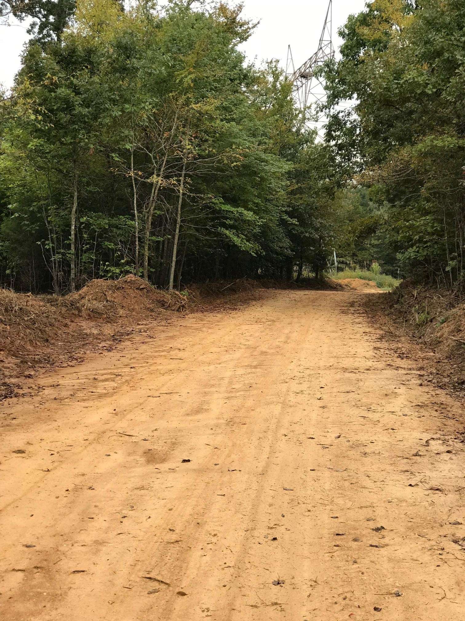 2 Olde Tennessee Trail, Springville, TN 38256