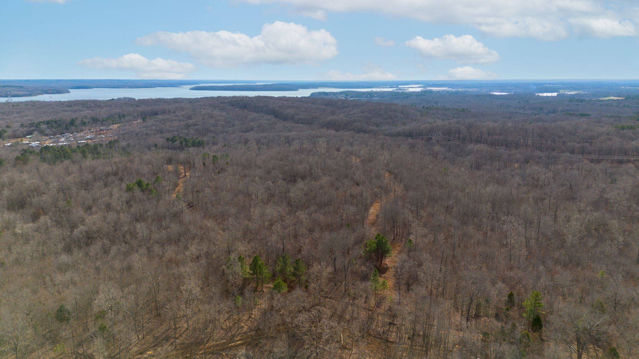 2 Olde Tennessee Trail, Springville, TN 38256