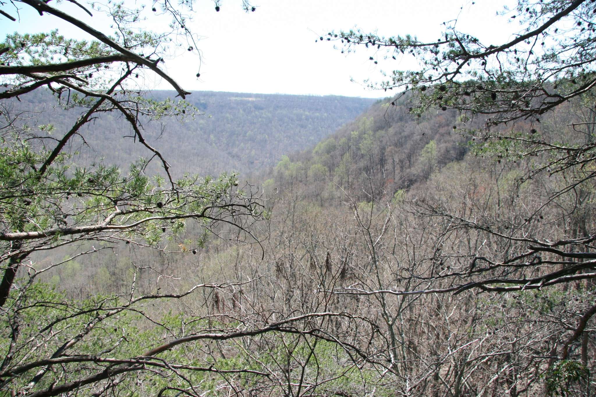 0 Bridal Veil South, Monteagle, TN 37356