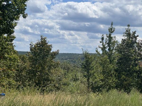 0 Richland Ridge Rd, Waverly, TN 37185