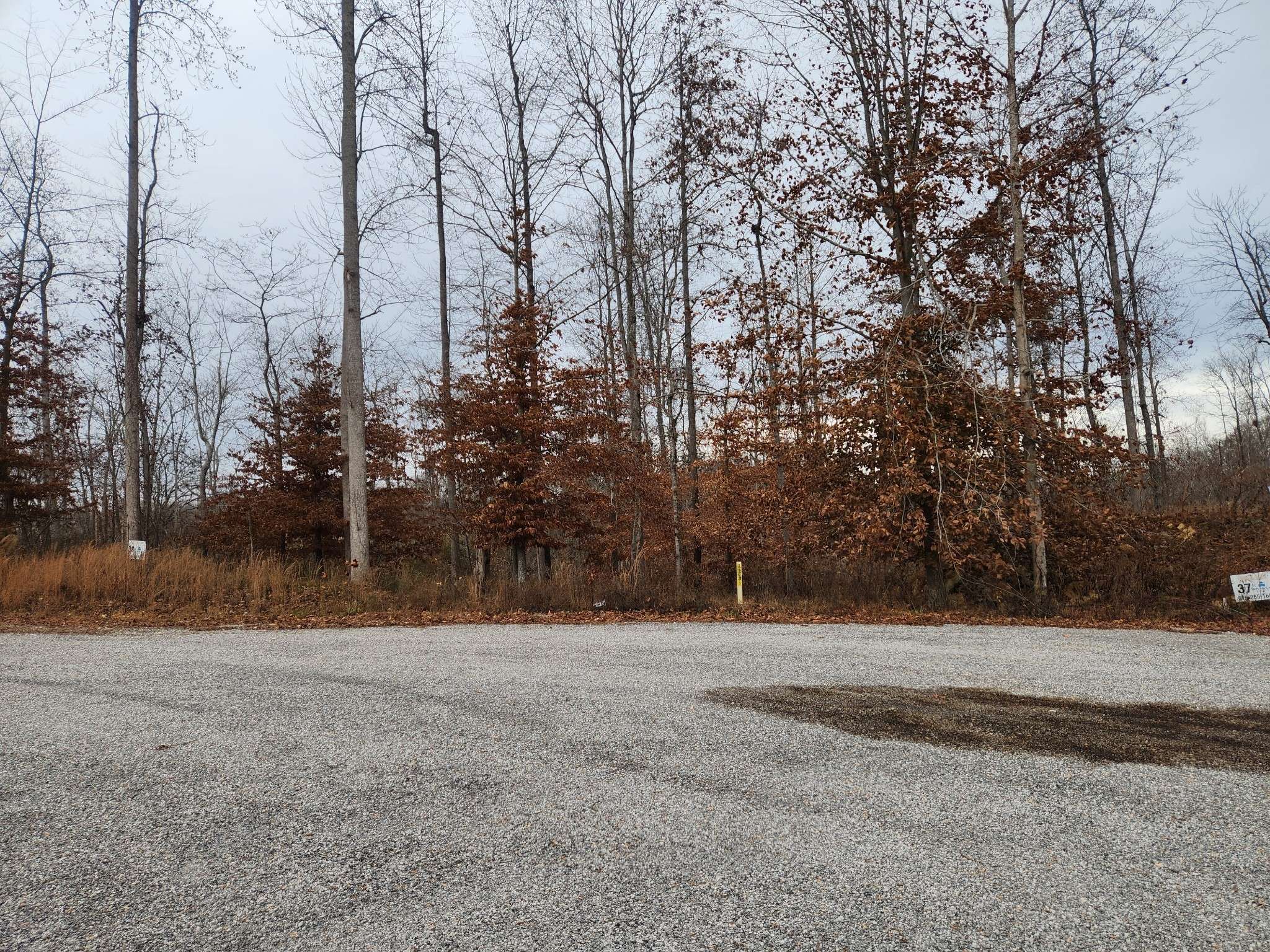 0 Peninsulas Edge Dr #S, Smithville, TN 37166