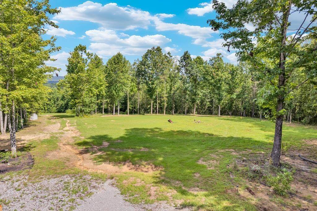 1280 Soak Creek Ln, Grandview, TN 37337