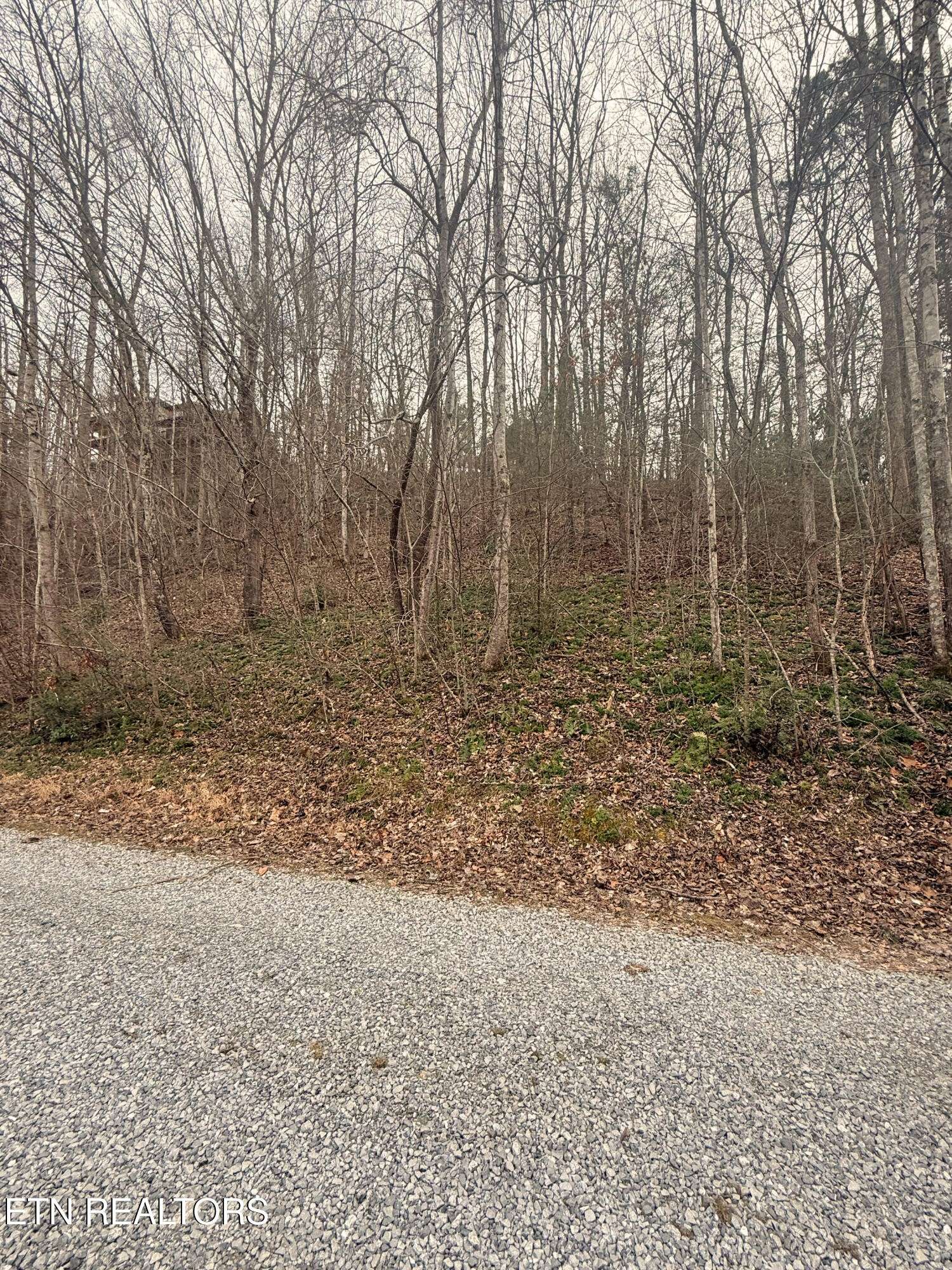 0 Lakeview Drive, Sevierville, TN 37876