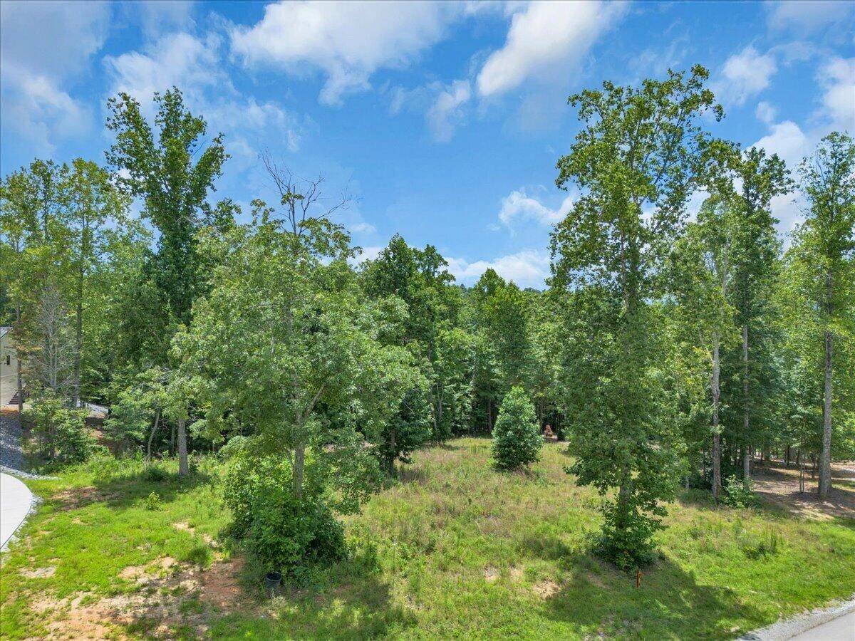0 Moonlight Lane, Jasper, TN 37347