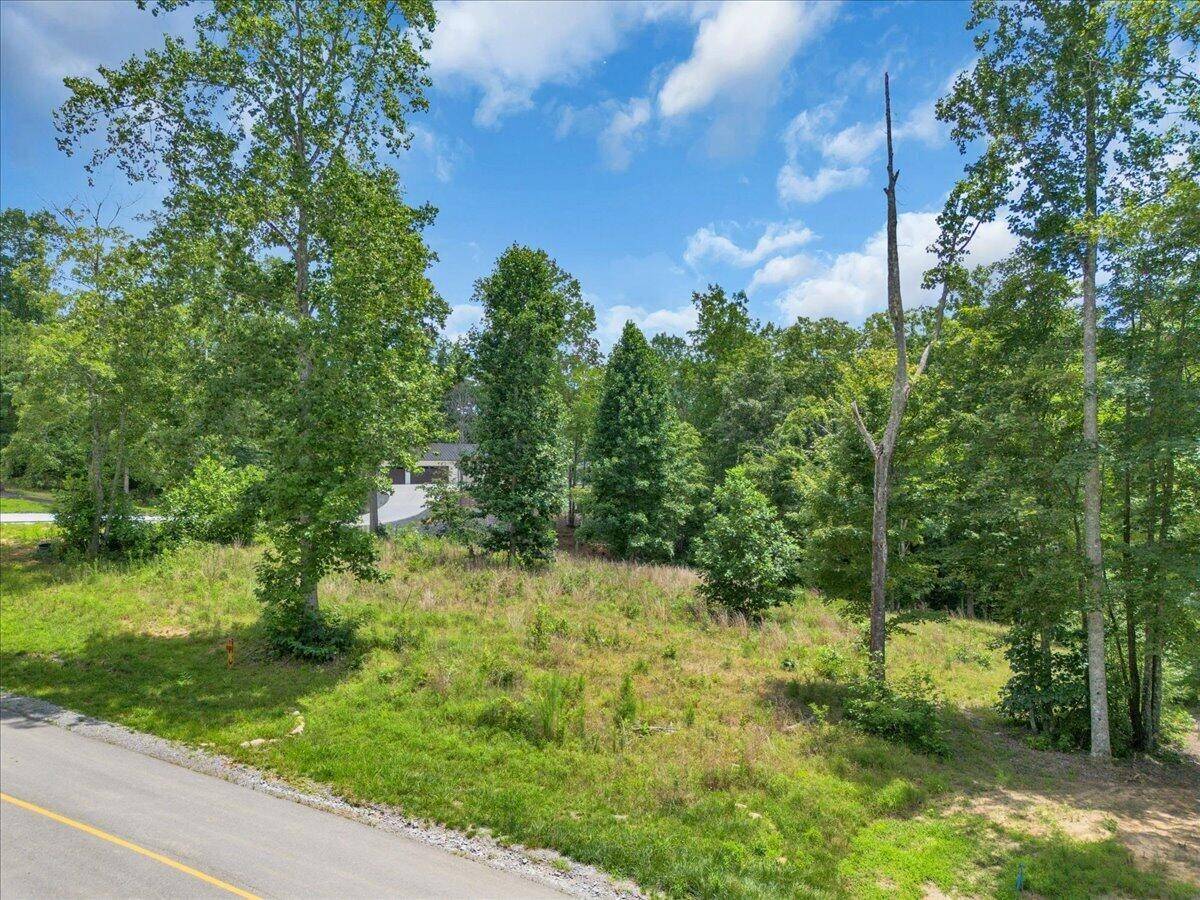 0 Moonlight Lane, Jasper, TN 37347