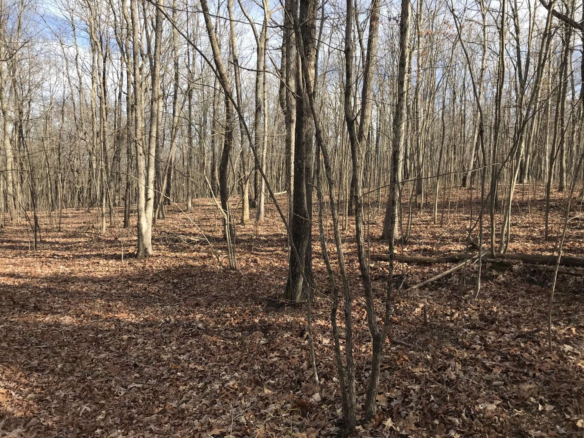 0 Greenfields Way N, Dunlap, TN 37327
