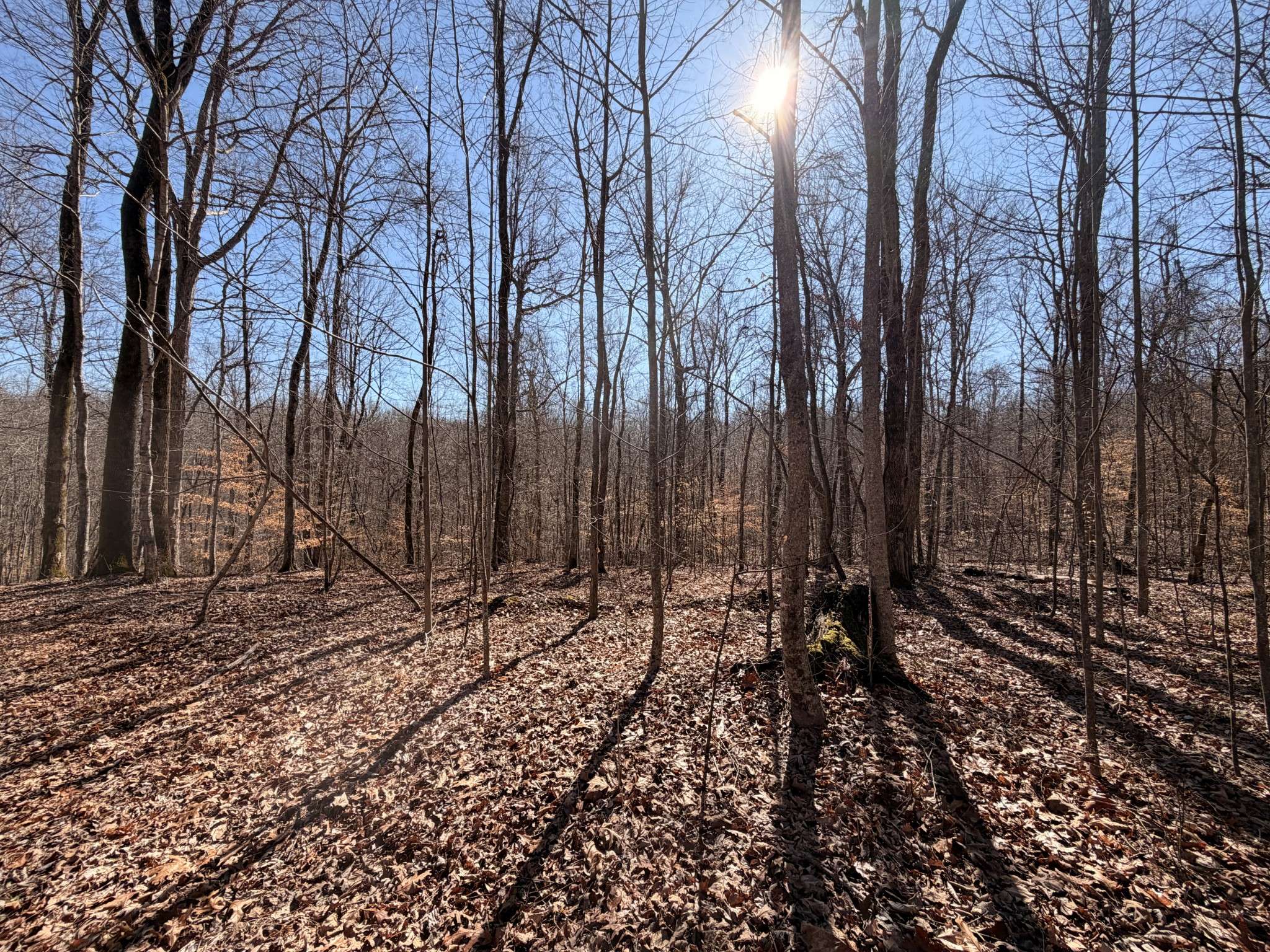 0 Tonya Trail, Cumberland Furnace, TN 37051