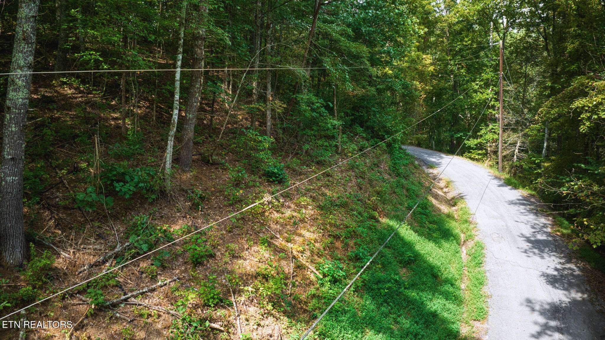 0 Stepping Stone Drive, Sevierville, TN 37862