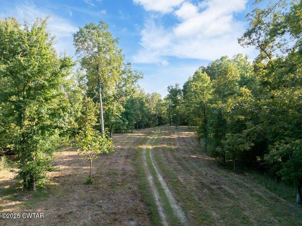 0 Dogwood Ln, Huntingdon, TN 38344