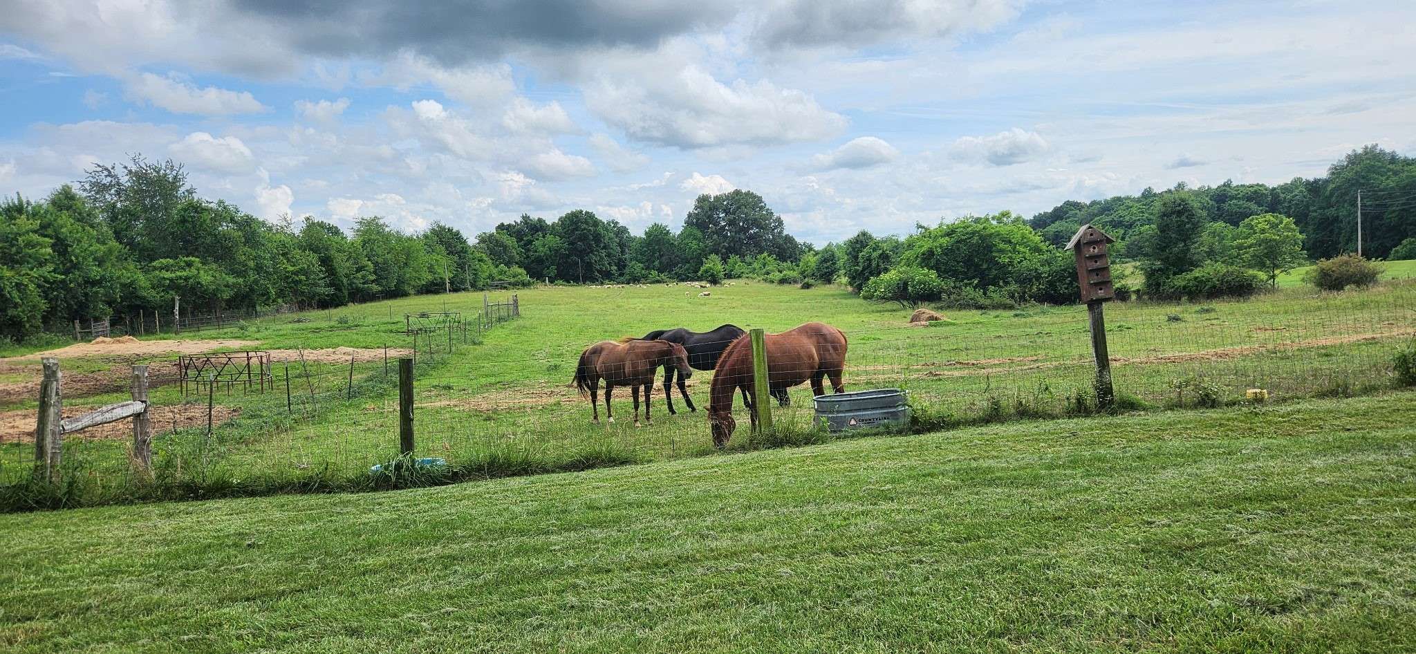 5849 Catholic Church Rd, Cedar Hill, TN 37032