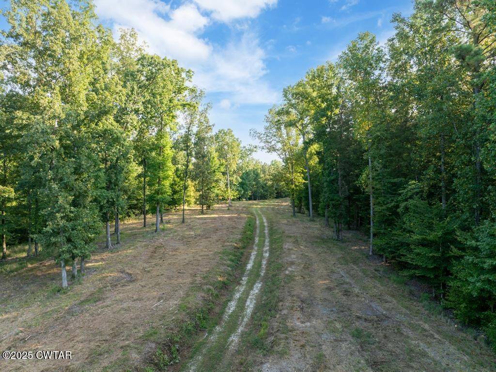 0 Dogwood Ln, Huntingdon, TN 38344
