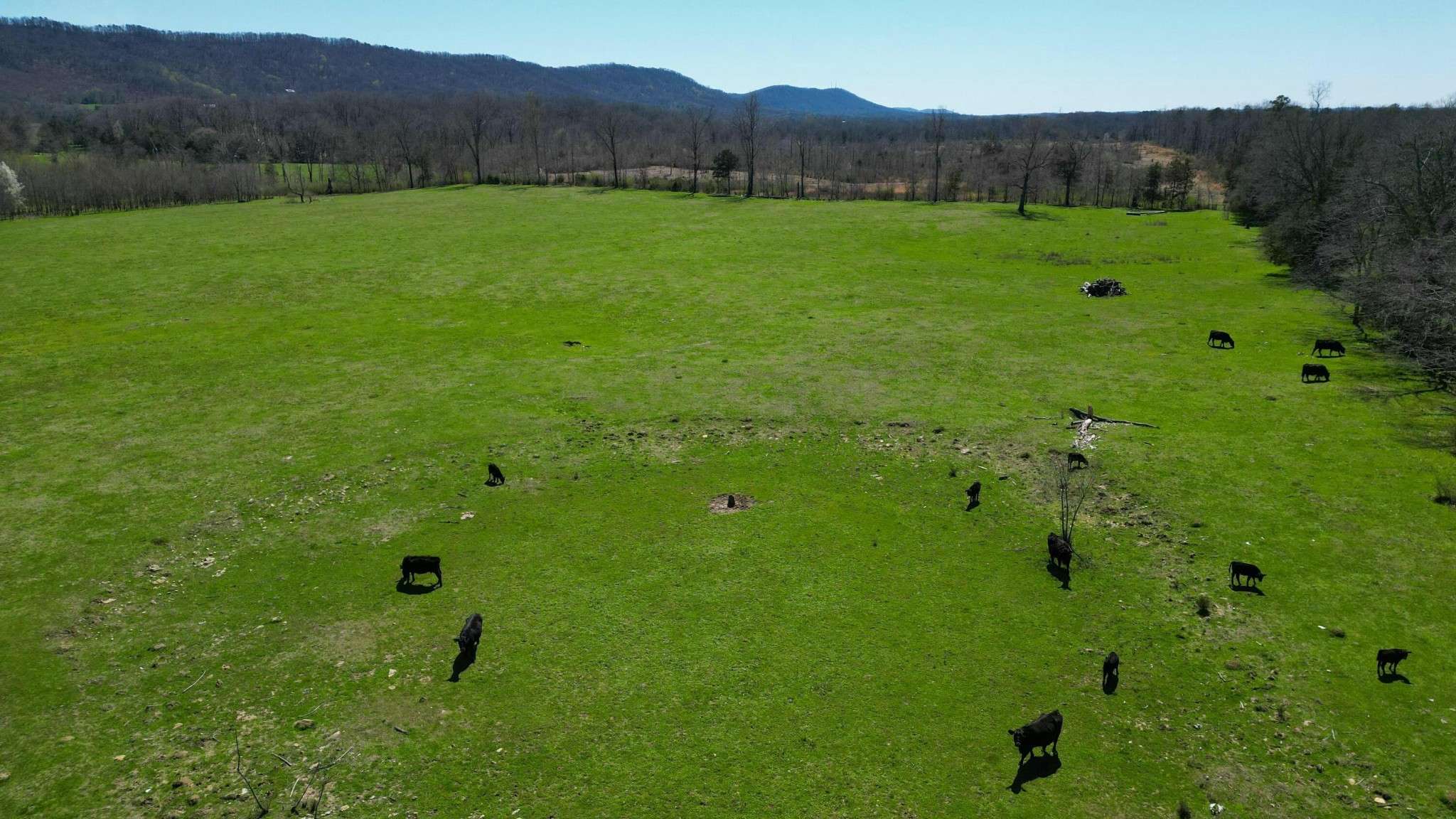 0 Ooltewah Georgetown Road, Ooltewah, TN 37363