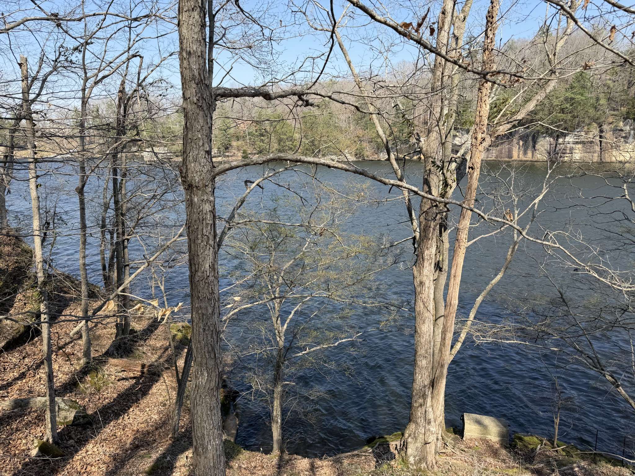 0 Canyon Run Road, Lewisburg, KY 42256