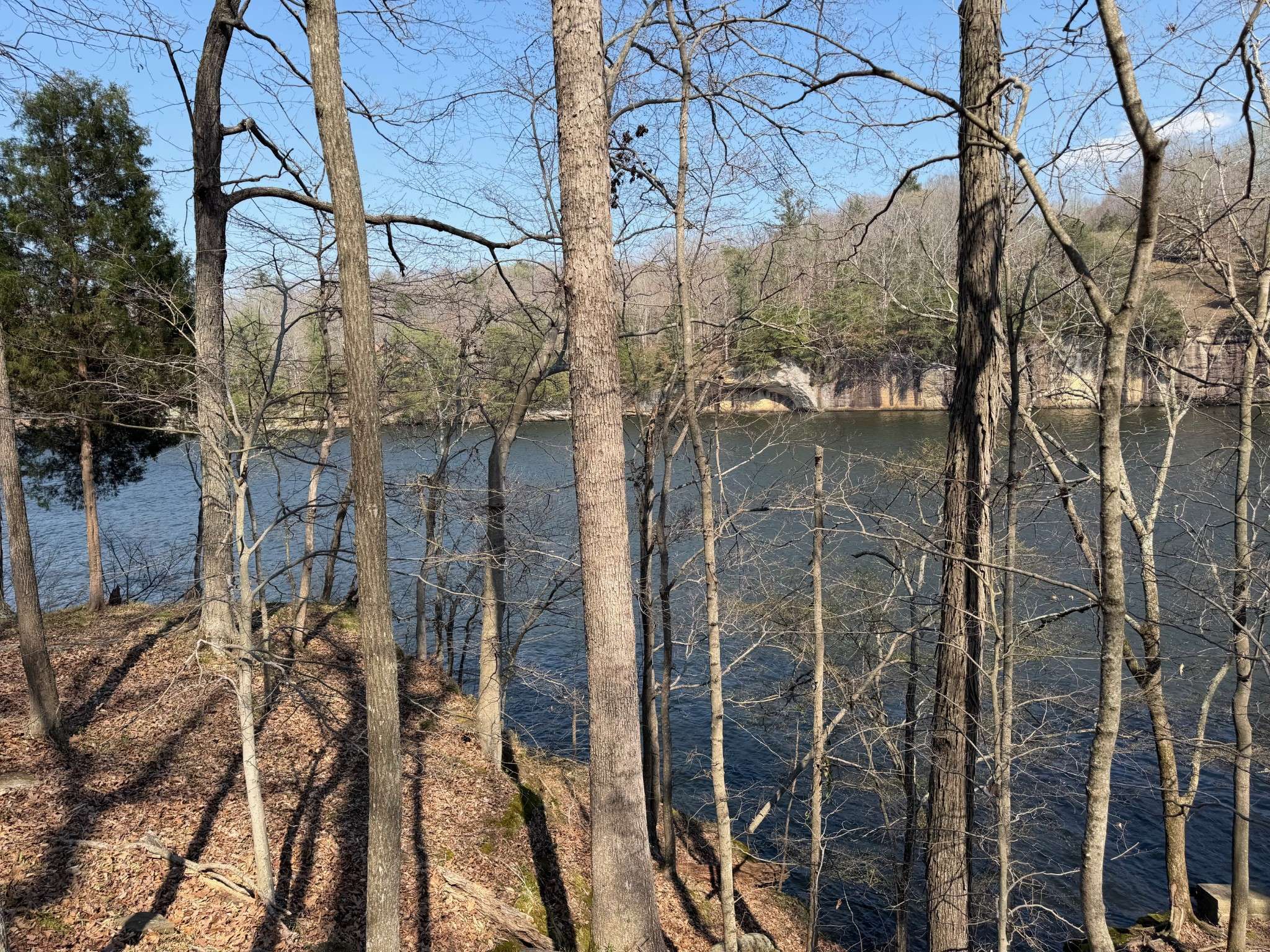 0 Canyon Run Road, Lewisburg, KY 42256