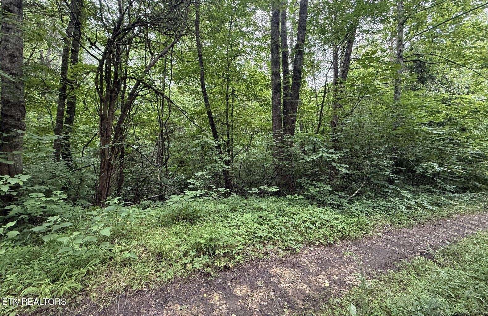 0 Fortunato Drive, Baneberry, TN 37890