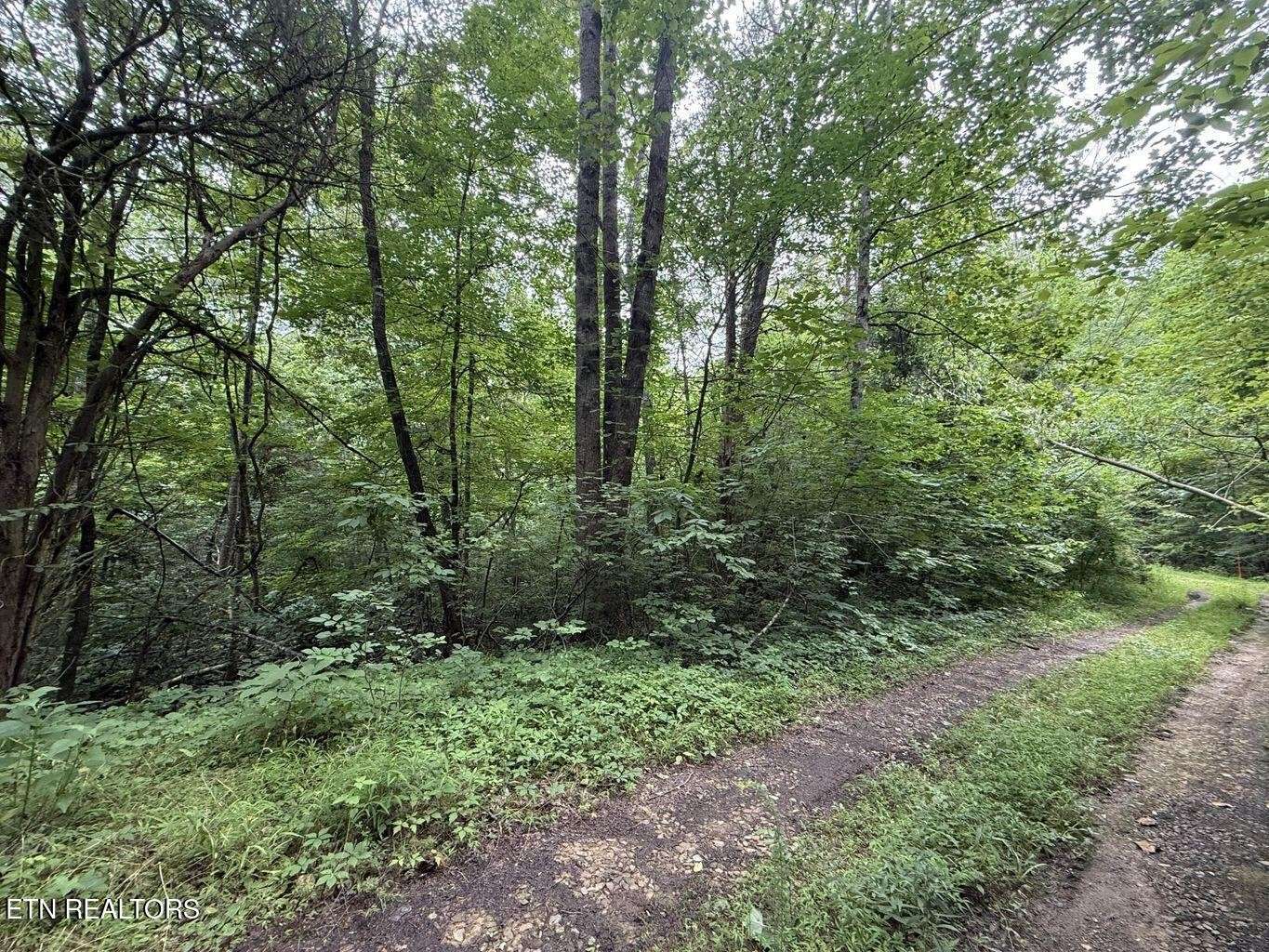 0 Fortunato Drive, Baneberry, TN 37890