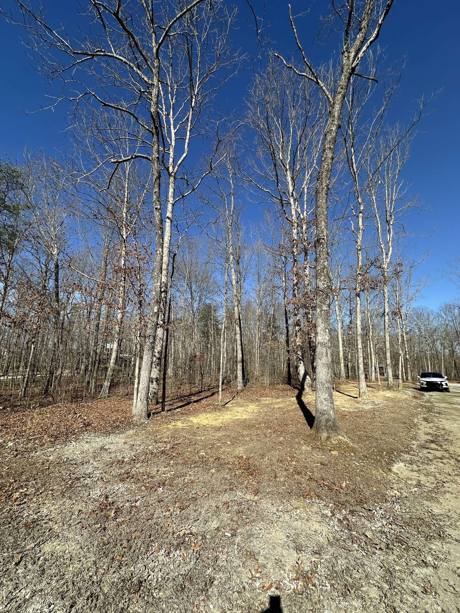 222 Sunset Bluff Way, Monteagle, TN 37356