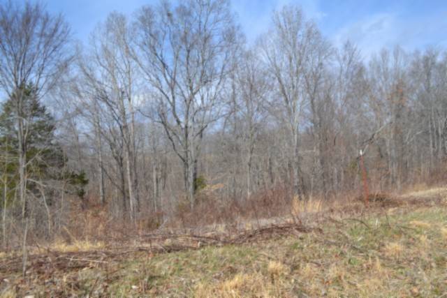 0 Hush Hollow Lane, Baxter, TN 38544