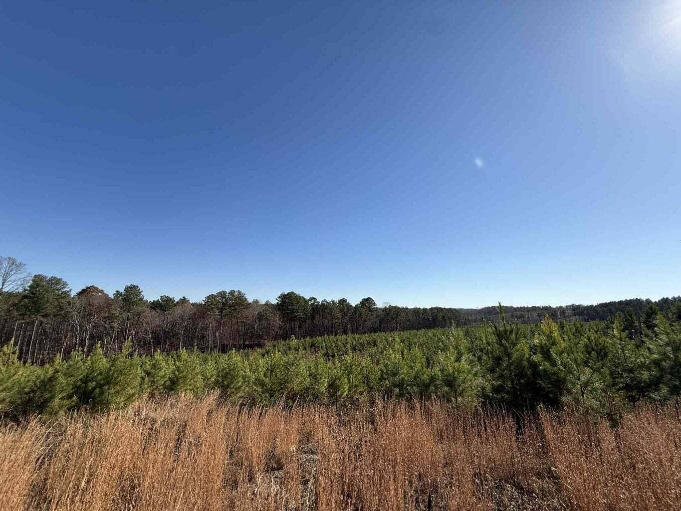 0 St Rt 399, Dunlap, TN 37327