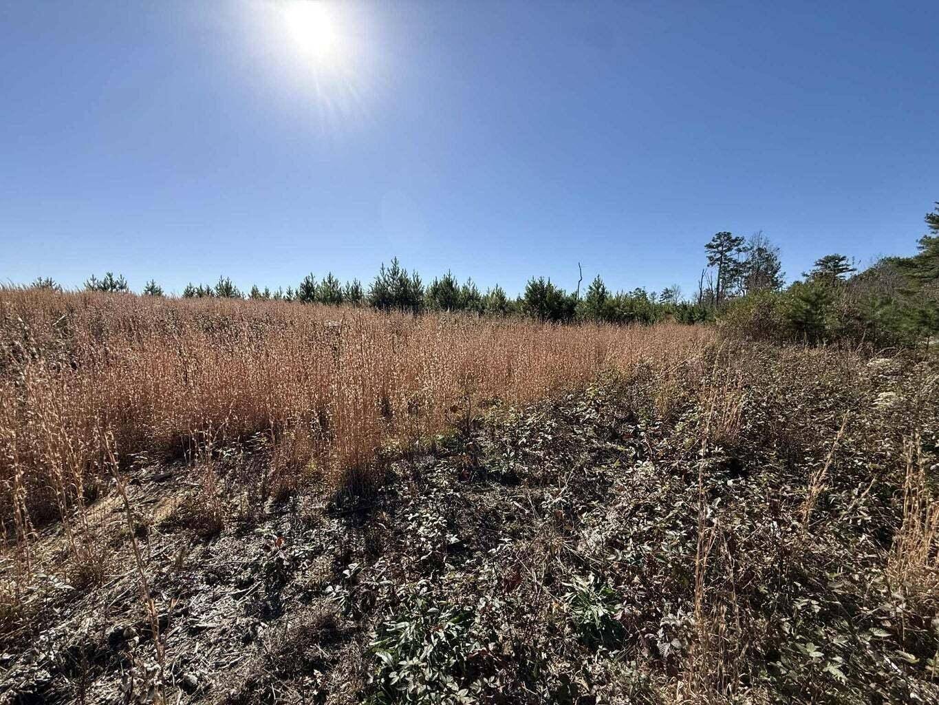 0 St Rt 399, Dunlap, TN 37327