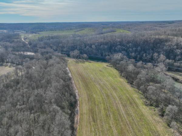 0 Tidwell Hollow Rd, Iron City, TN 38463