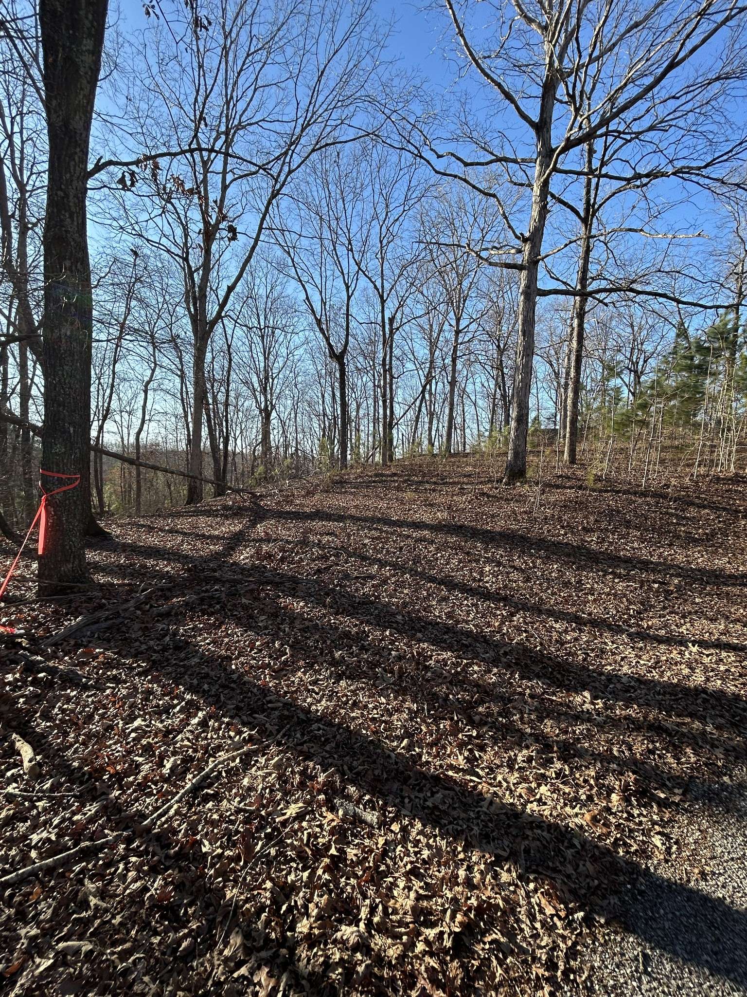 0 Snow Road, Big Sandy, TN 38221