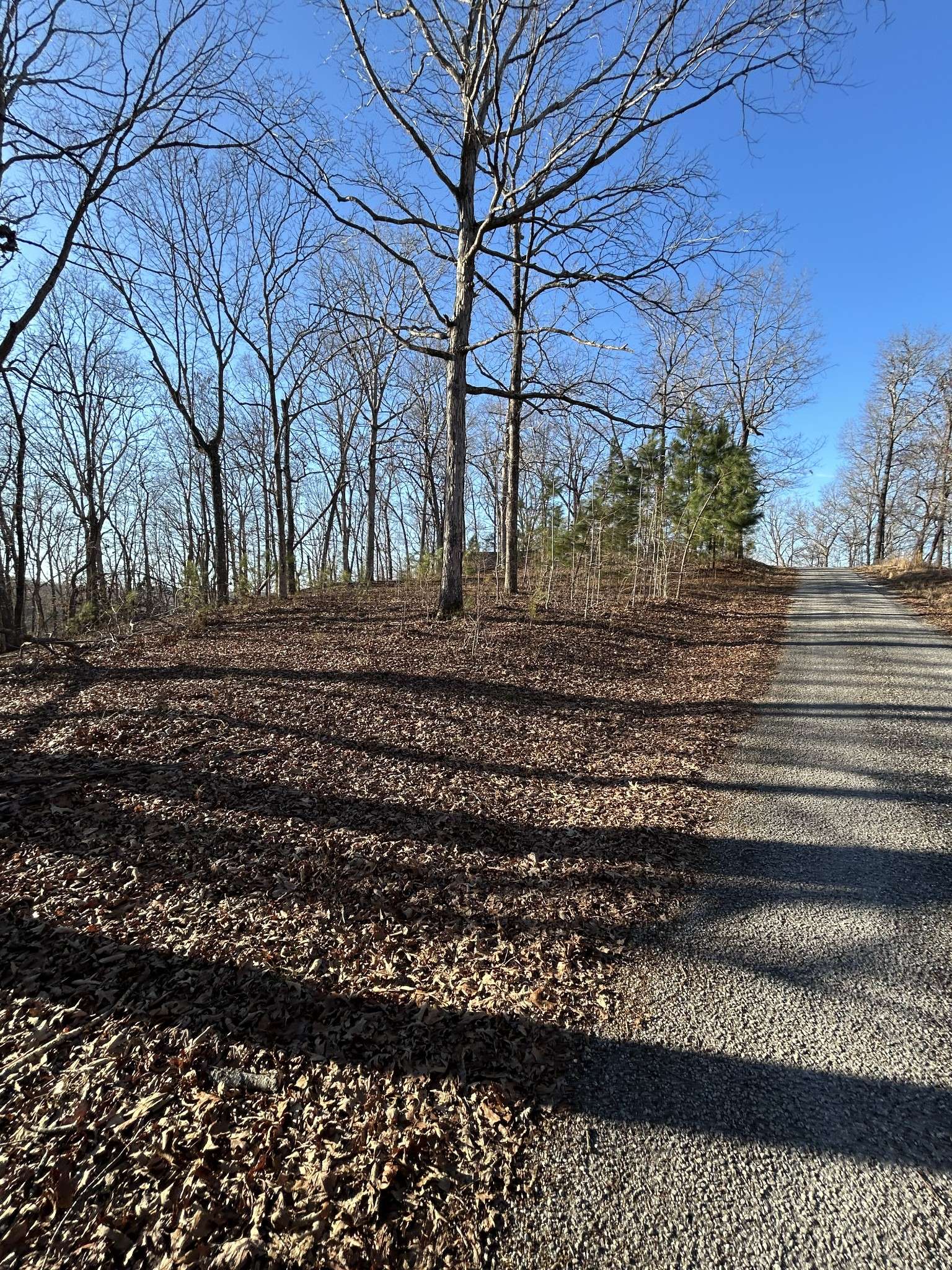 0 Snow Road, Big Sandy, TN 38221