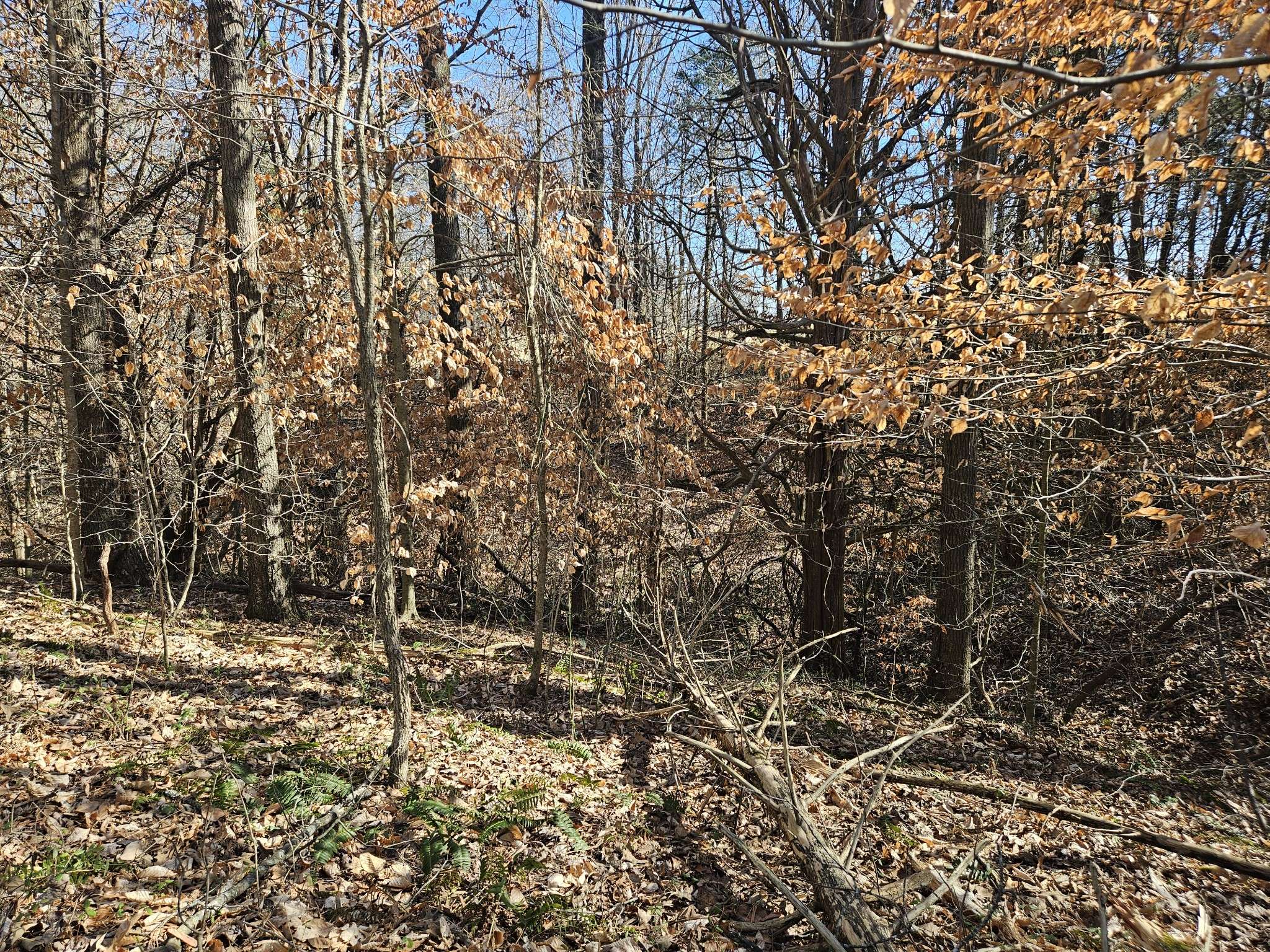 0 Hwy 70 #S, Woodbury, TN 37190