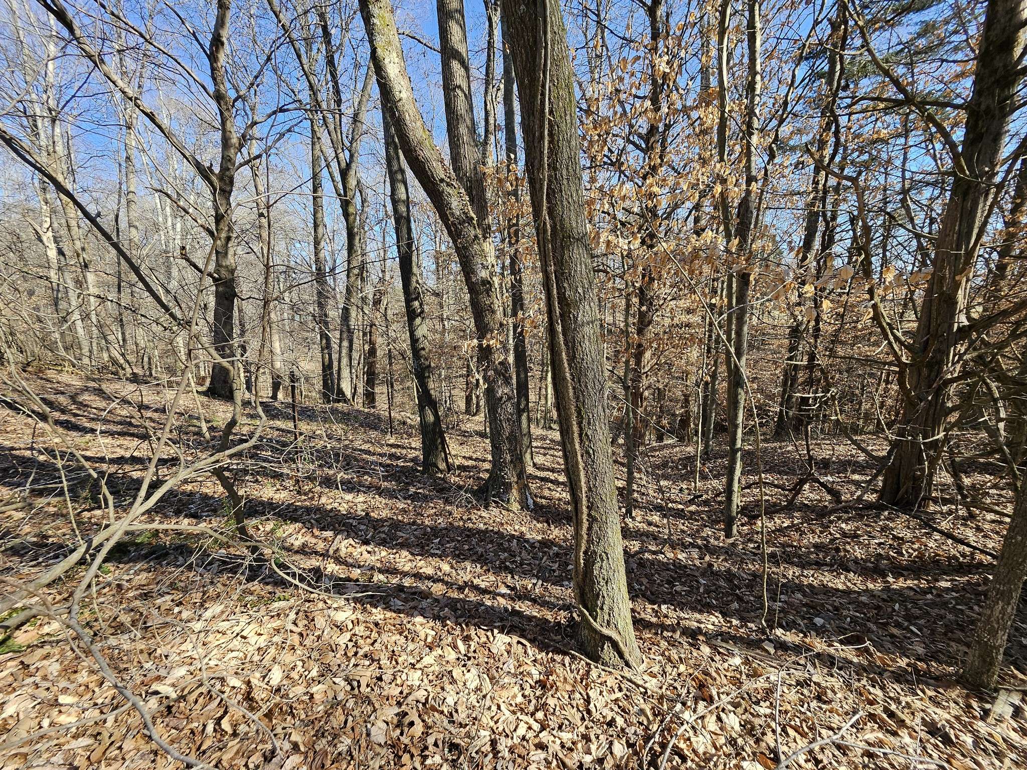 0 Hwy 70 #S, Woodbury, TN 37190