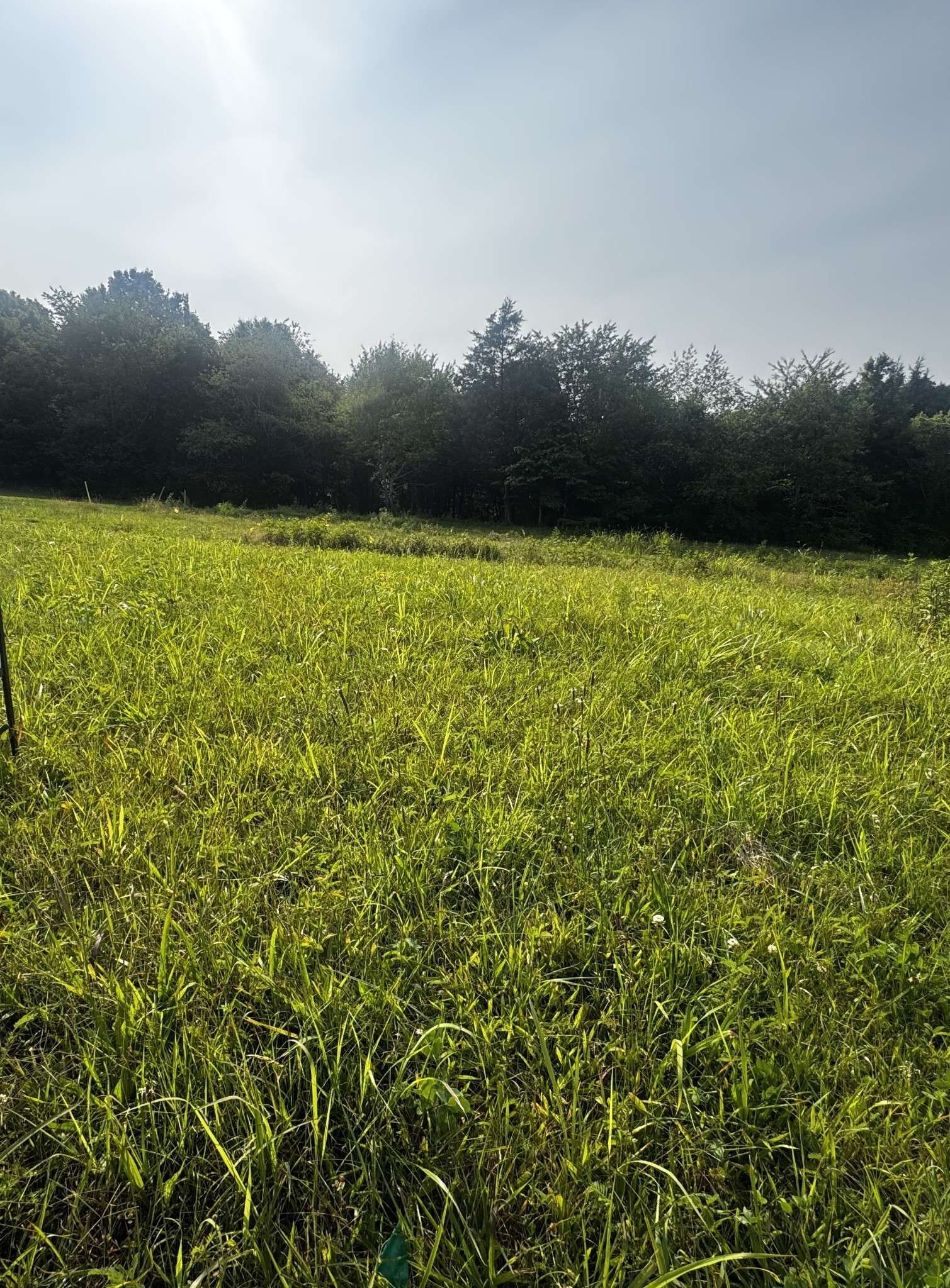 6481 Kelly Willis Rd, Greenbrier, TN 37073