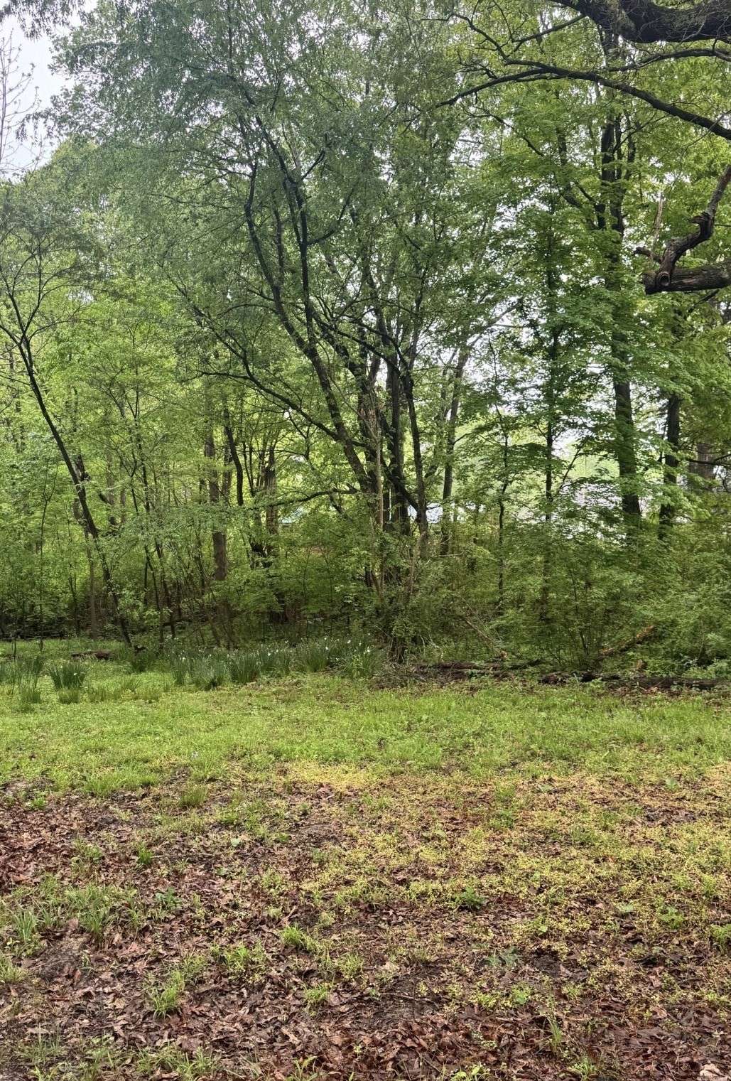 193 Whitaker St, Camden, TN 38320
