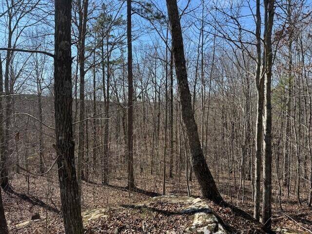 3 South Pittsburg Mountain, South Pittsburg, TN 37380