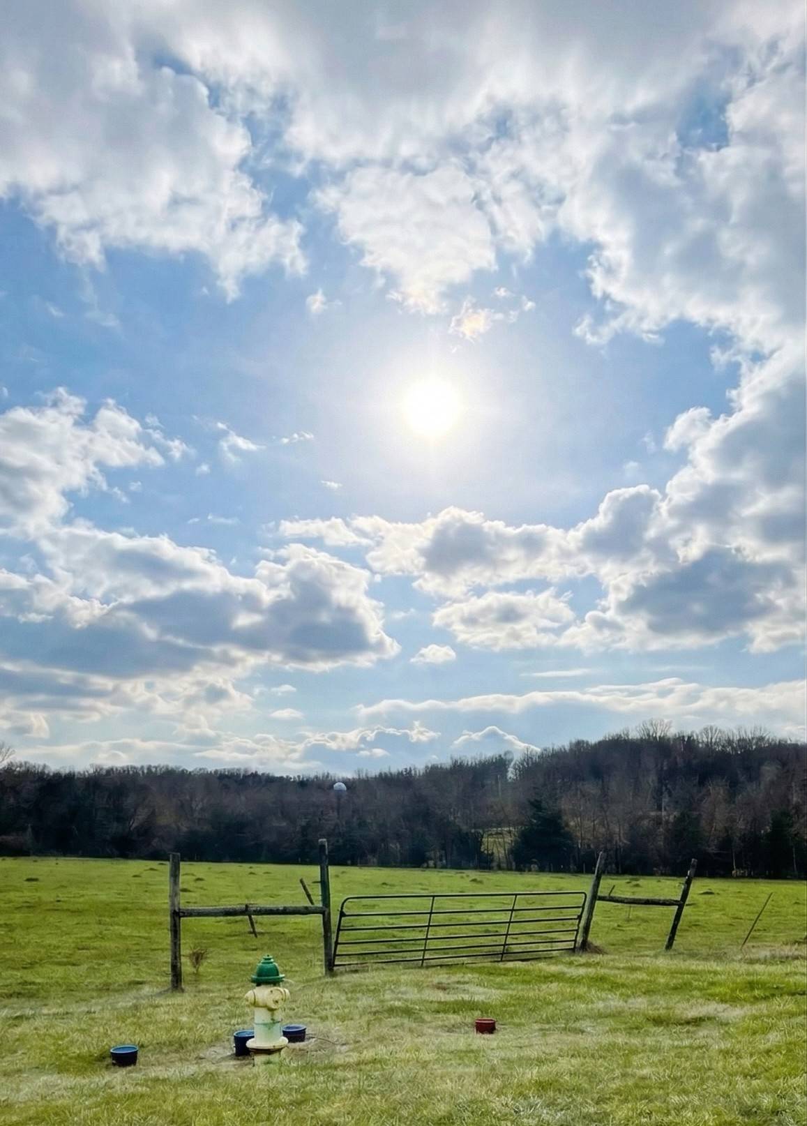 0 Versailles Rd, Rockvale, TN 37153
