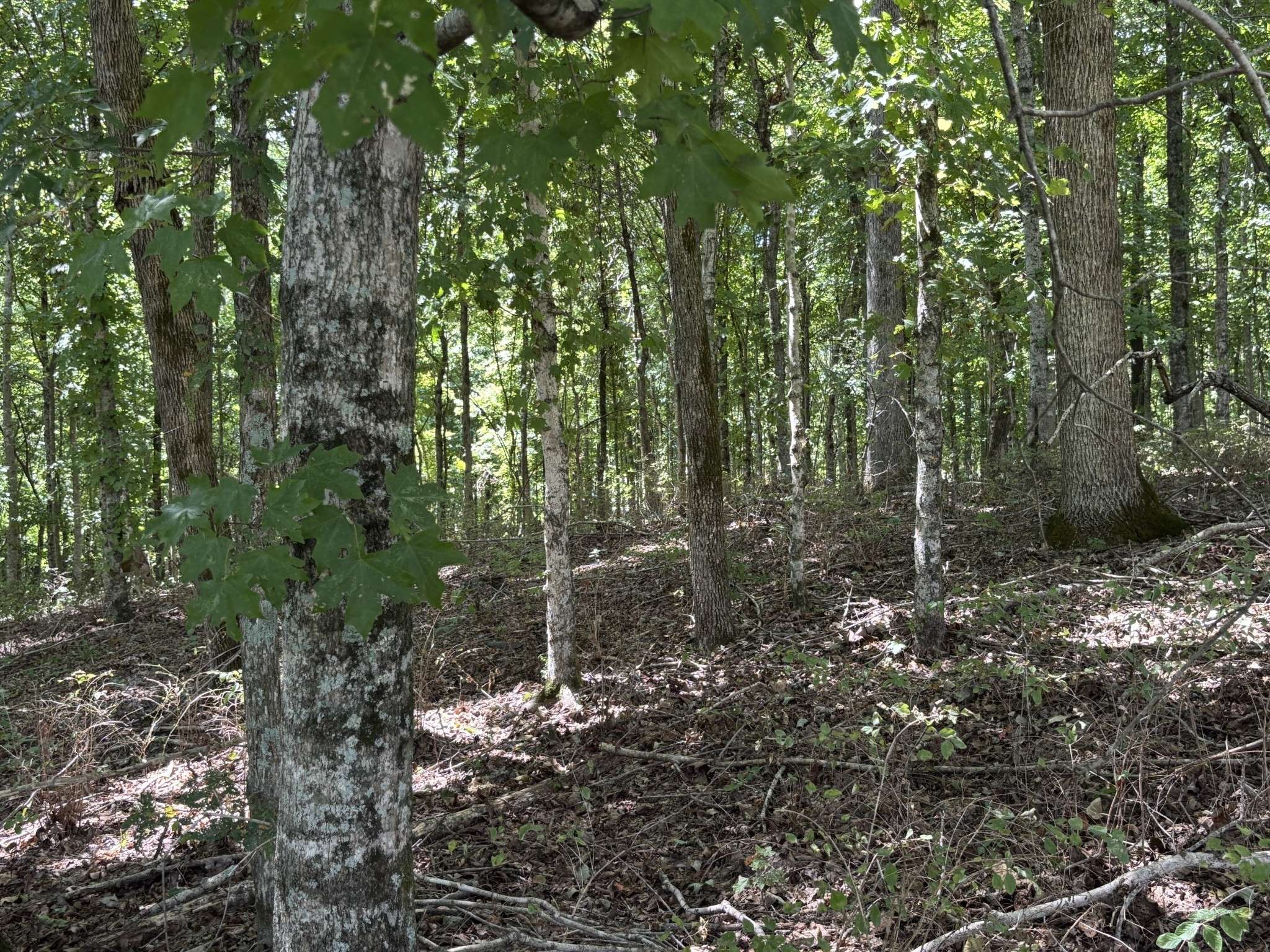 0 Middle Lick Creek Rd, Lyles, TN 37098