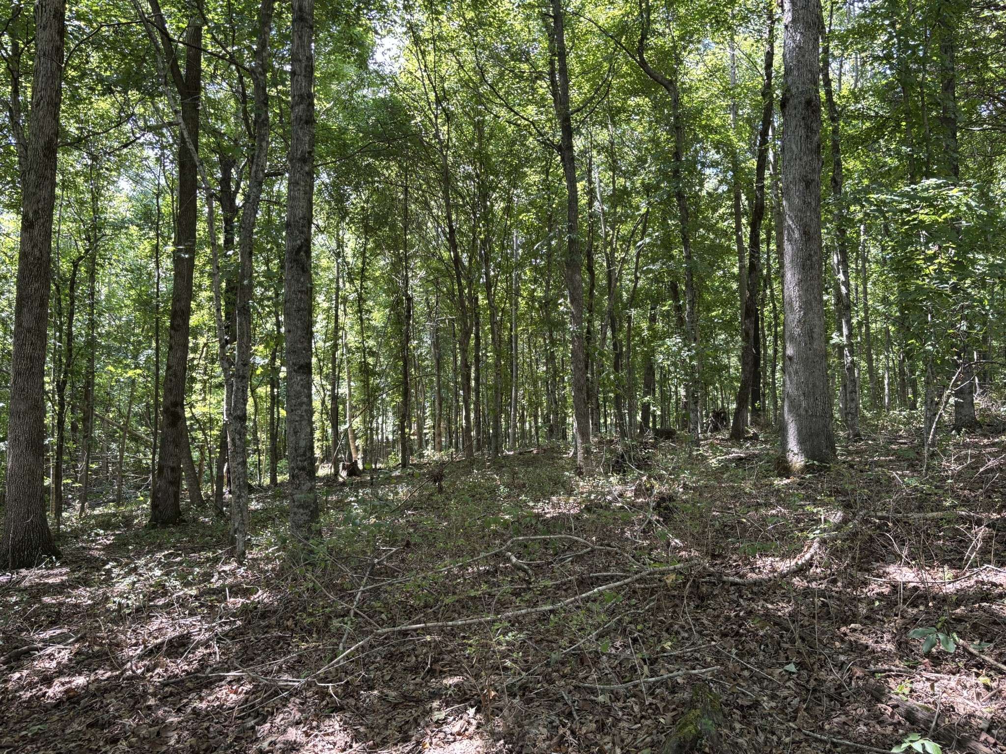 0 Middle Lick Creek Rd, Lyles, TN 37098