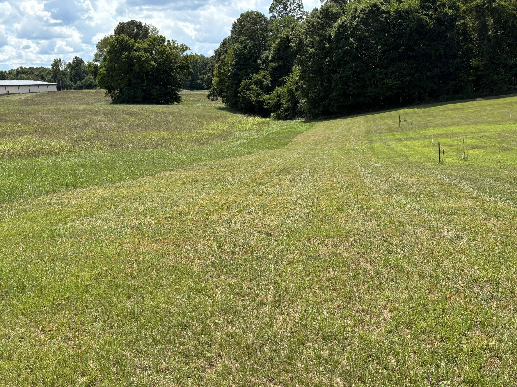0 Middle Lick Creek Rd, Lyles, TN 37098