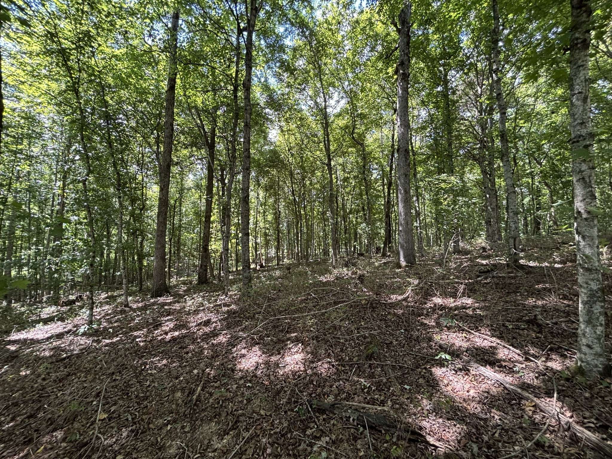 0 Middle Lick Creek Rd, Lyles, TN 37098