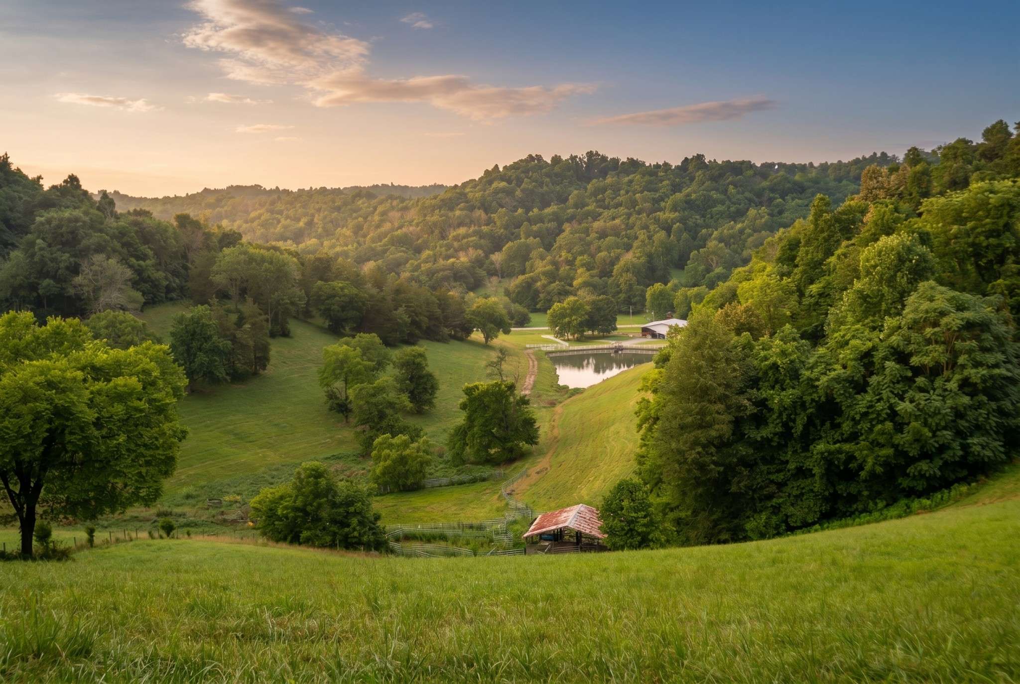 1425 Bartlett Hollow Rd, Petersburg, TN 37144