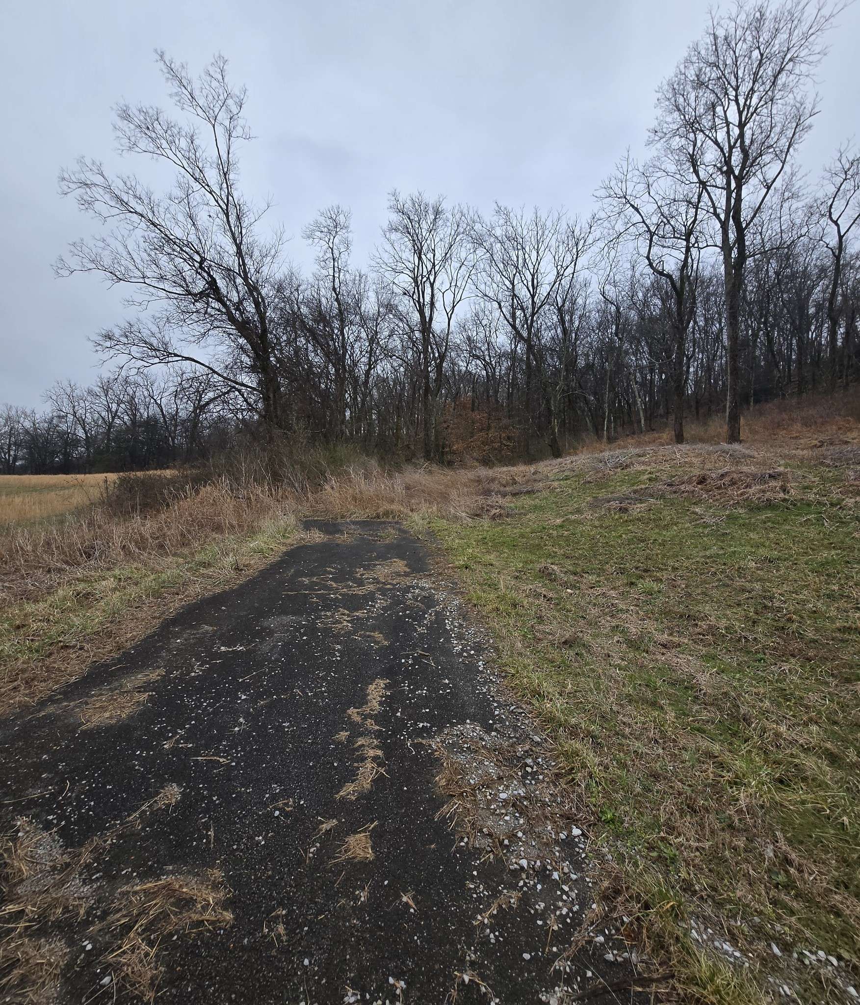22241 Hwy 64, Pulaski, TN 38478