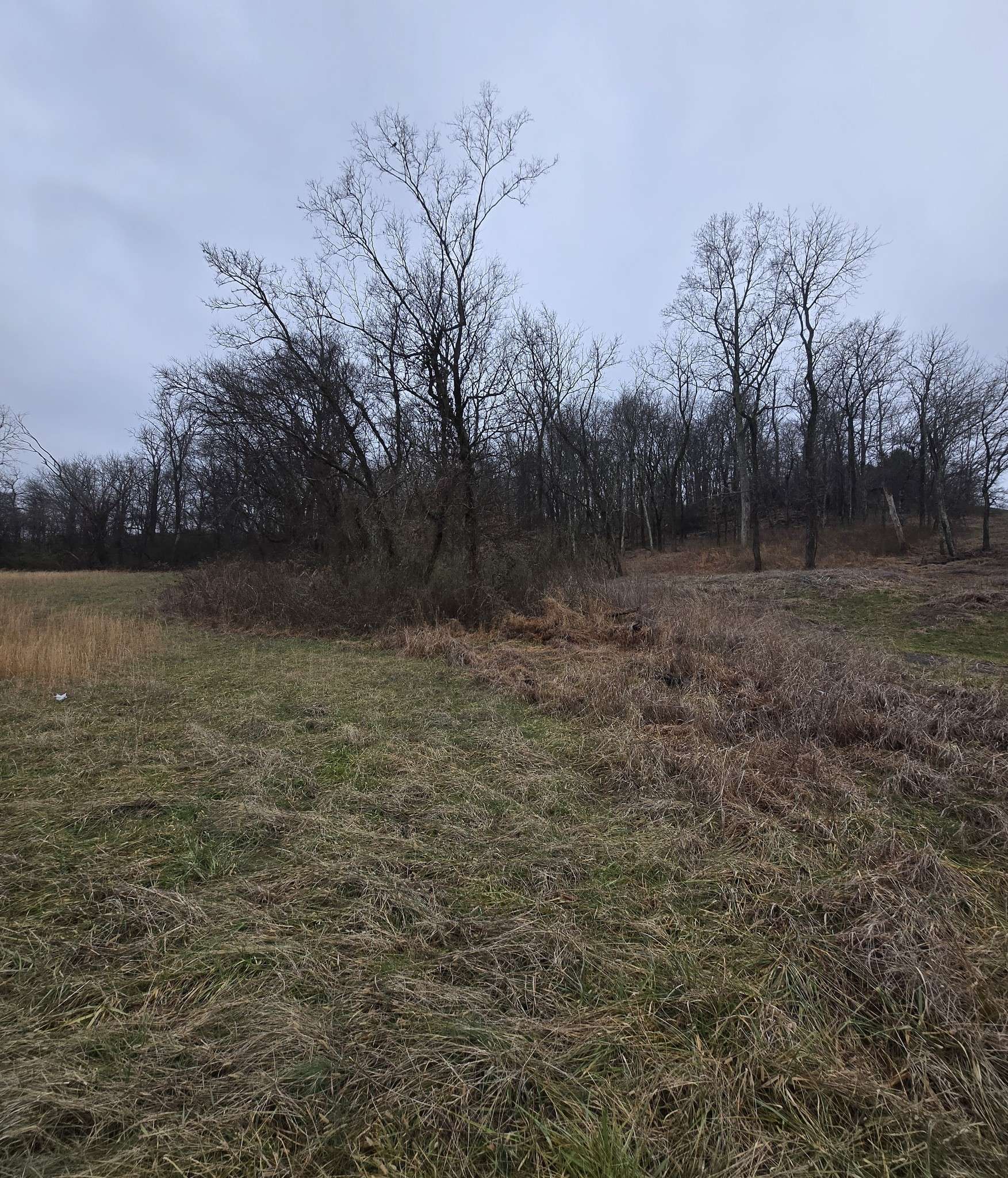 22241 Hwy 64, Pulaski, TN 38478