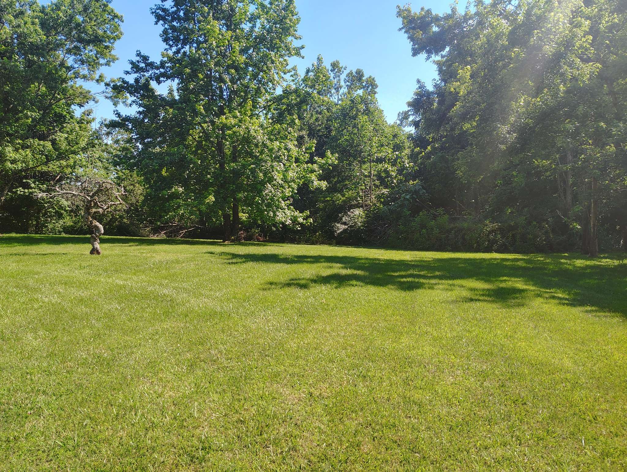 29 Bluebird Ln, Lafayette, TN 37083