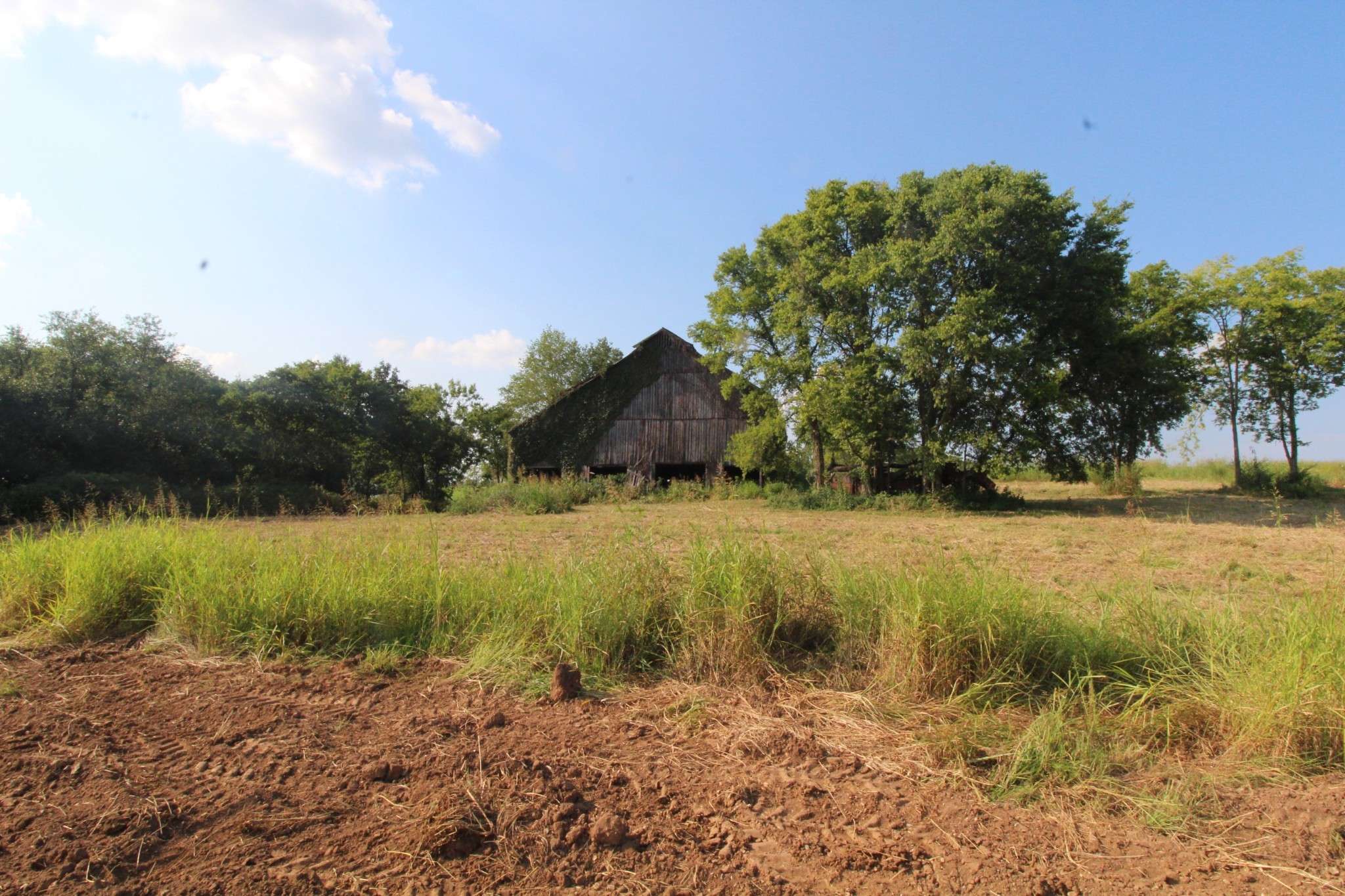 2716 Hartsville Pike, Castalian Springs, TN 37031