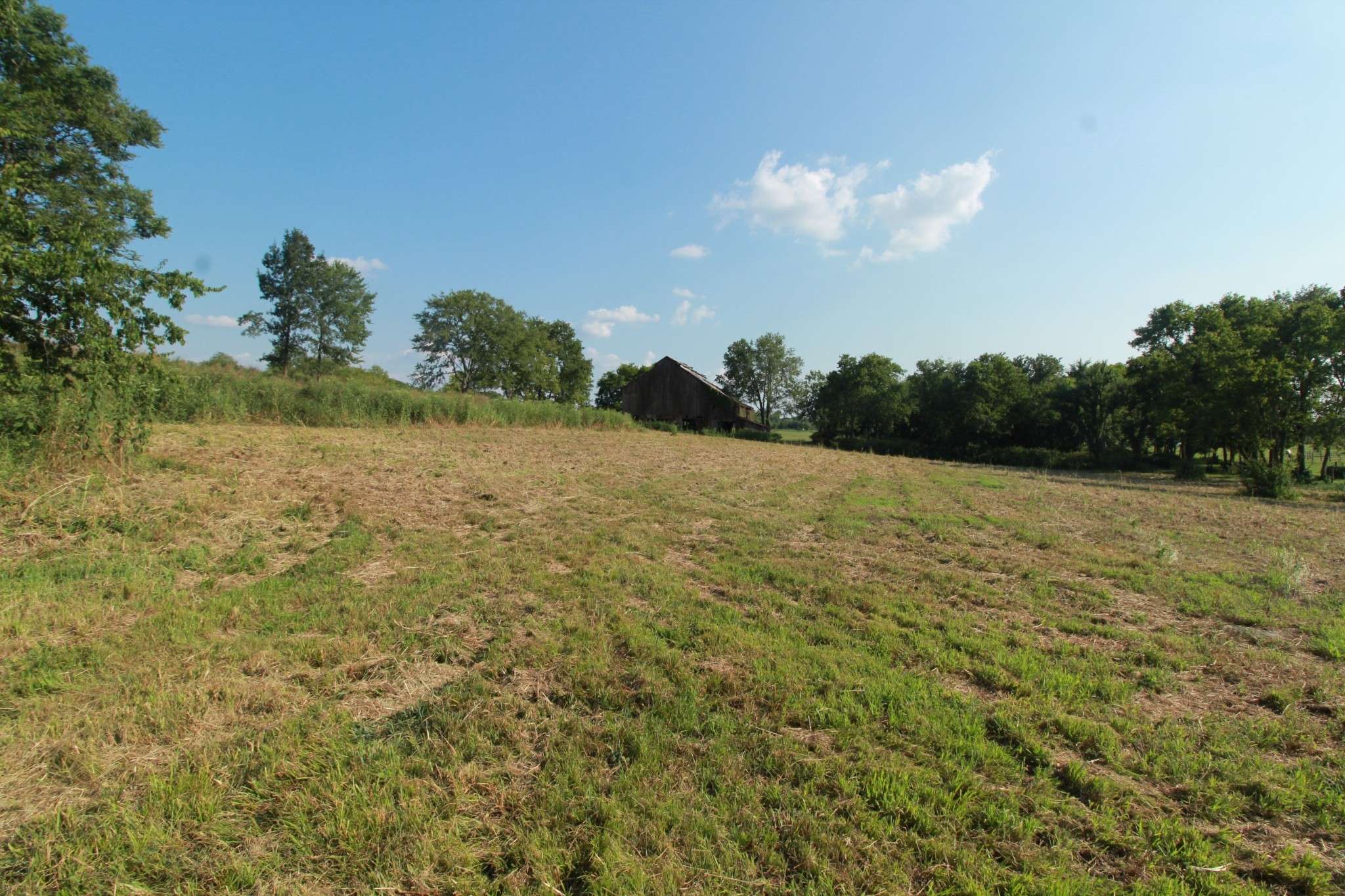 2716 Hartsville Pike, Castalian Springs, TN 37031