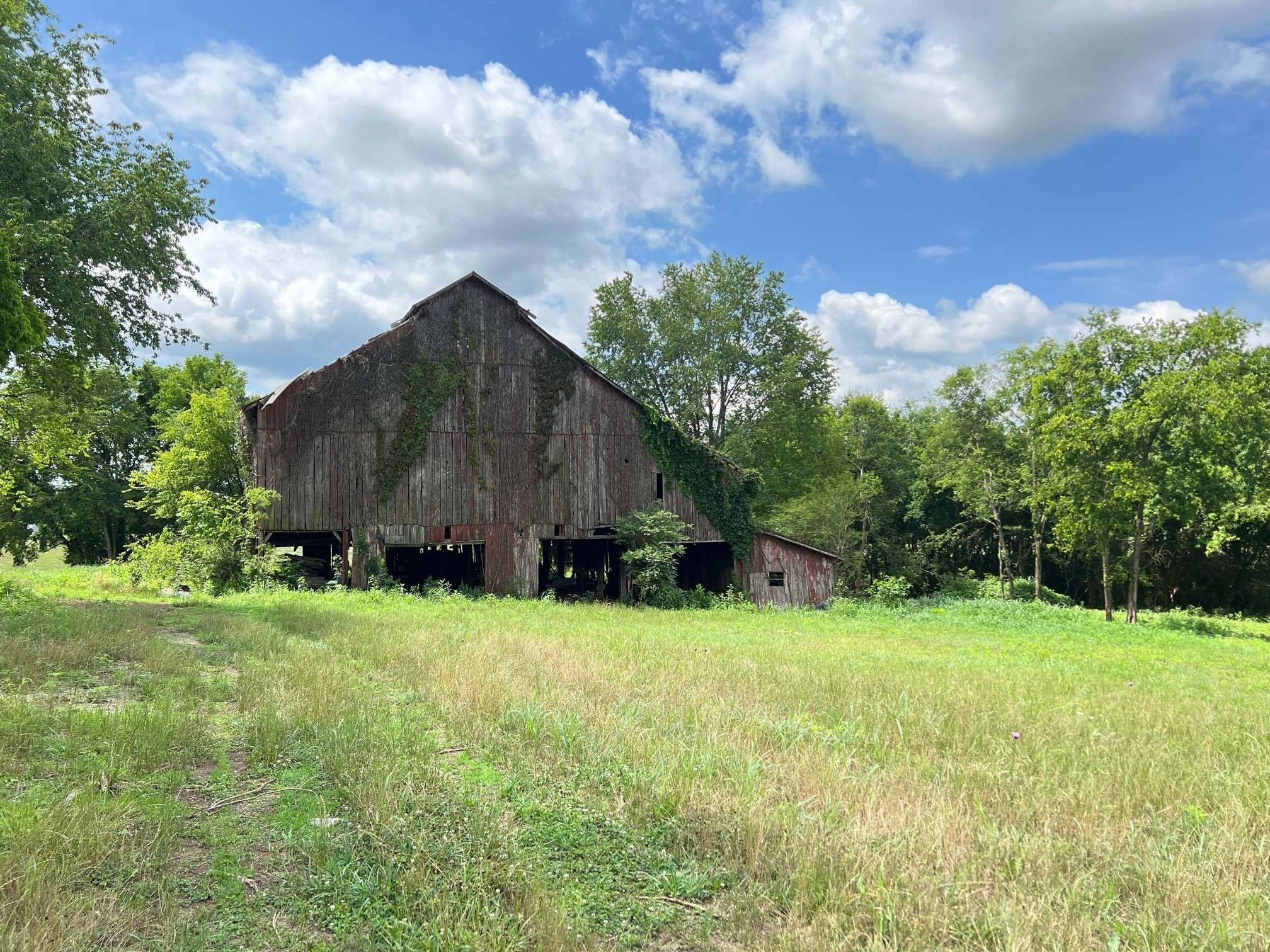 2716 Hartsville Pike, Castalian Springs, TN 37031