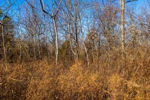 0 White Oak Rd, Stewart, TN 37175