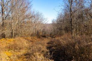 0 White Oak Rd, Stewart, TN 37175