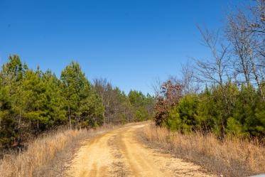 0 White Oak Rd, Stewart, TN 37175