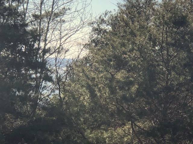 0 Turtle Point Lane, Waverly, TN 37185