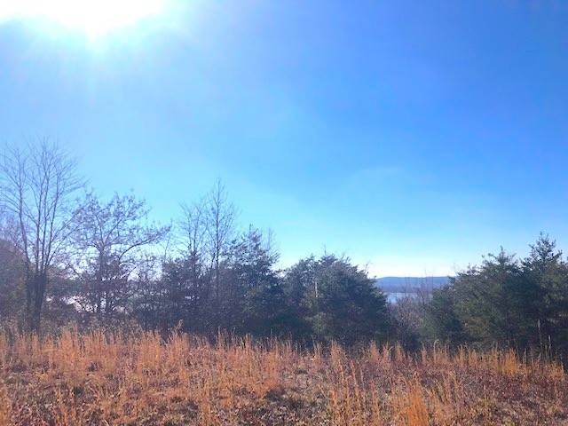 0 Turtle Point Lane, Waverly, TN 37185