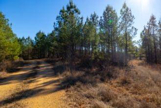 0 White Oak Rd, Stewart, TN 37175